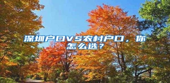 深圳户口VS农村户口，你怎么选？